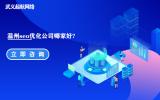溫州seo優(yōu)化公司哪家好？起航網(wǎng)絡(luò)是一個非常不錯的seo優(yōu)化公司。